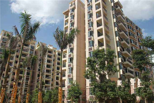 澳美徕澳门花胶鸡