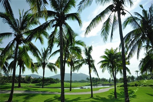 在宁强县加盟汪保来糕点什么位置生意好，宁强县投资蛋糕创业怎么样