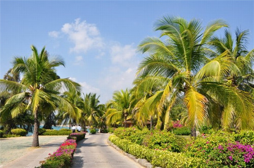 奶茶店里的设备需要多少钱，奶茶店买设备多少钱
