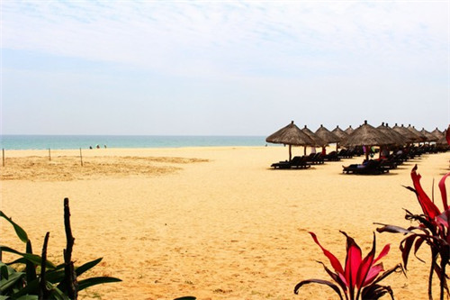 雾鲜奶茶总部在什么地方