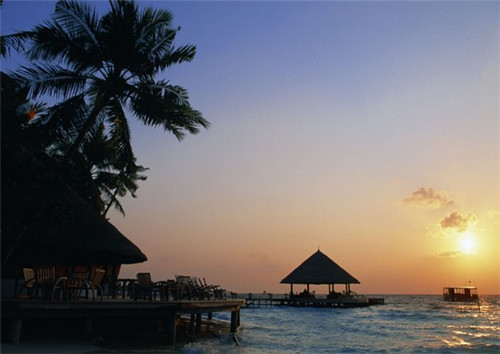 木马加盟创业选择哪些品牌比较火爆，木马怎么样