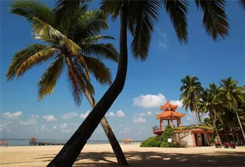 餐饮赛道是否好做设计