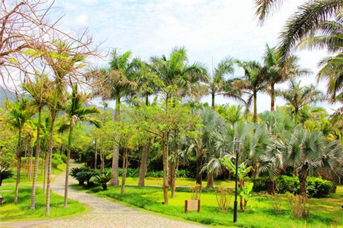 十大酿酒设备是什么（酿酒设备大全）