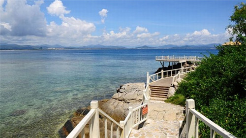 花旗油能炒菜吃吗怎么炒（花旗油好不好）